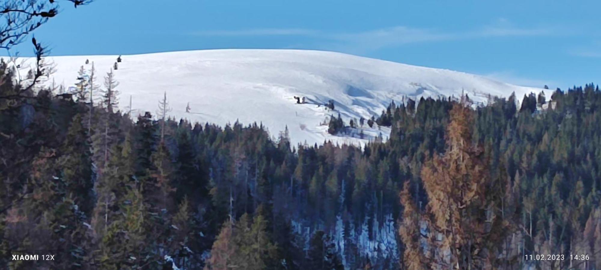 Schicke Ferien Wohnung Mit Tollem Ausblick In Schwarzwald. فيلينغن سشفايننغ المظهر الخارجي الصورة