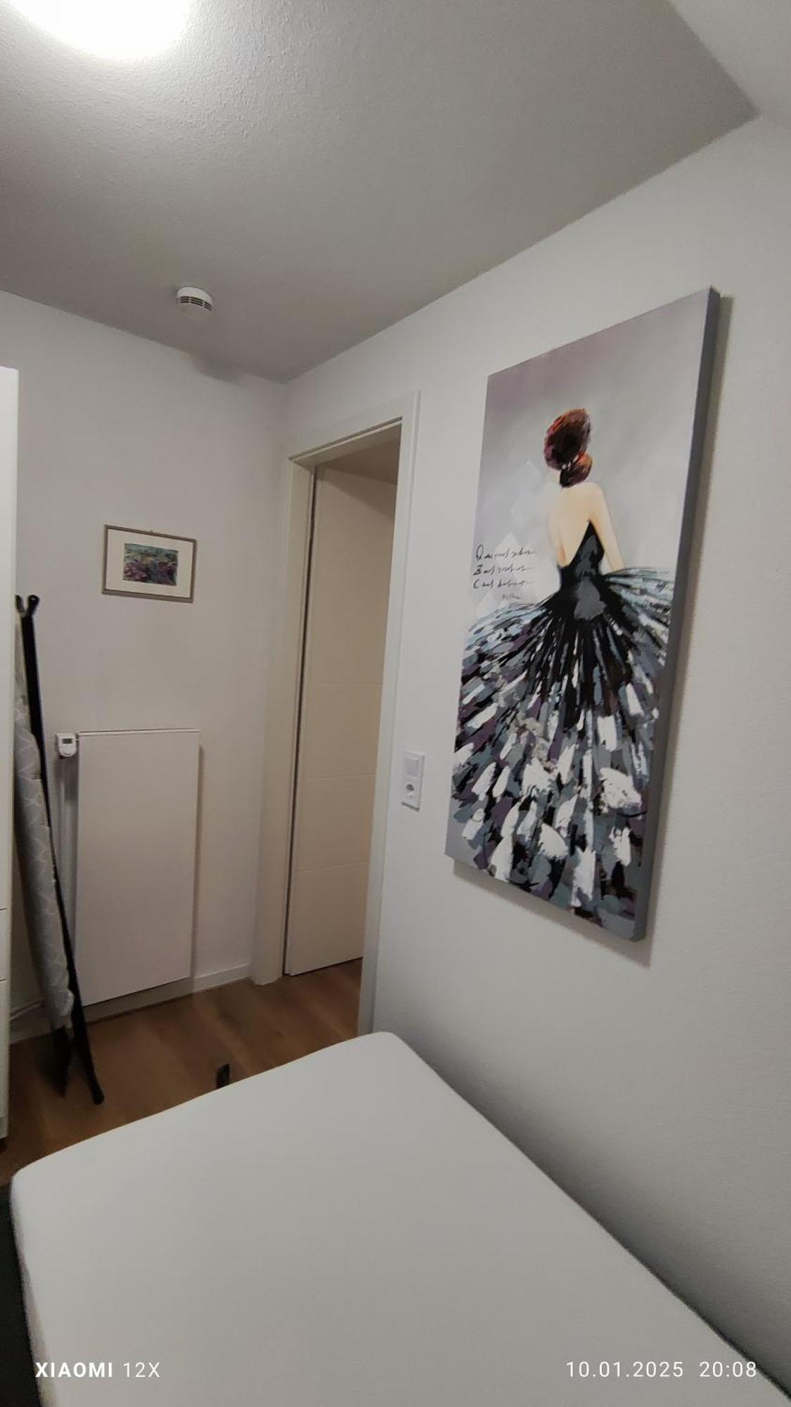 Schicke Ferien Wohnung Mit Tollem Ausblick In Schwarzwald. فيلينغن سشفايننغ المظهر الخارجي الصورة