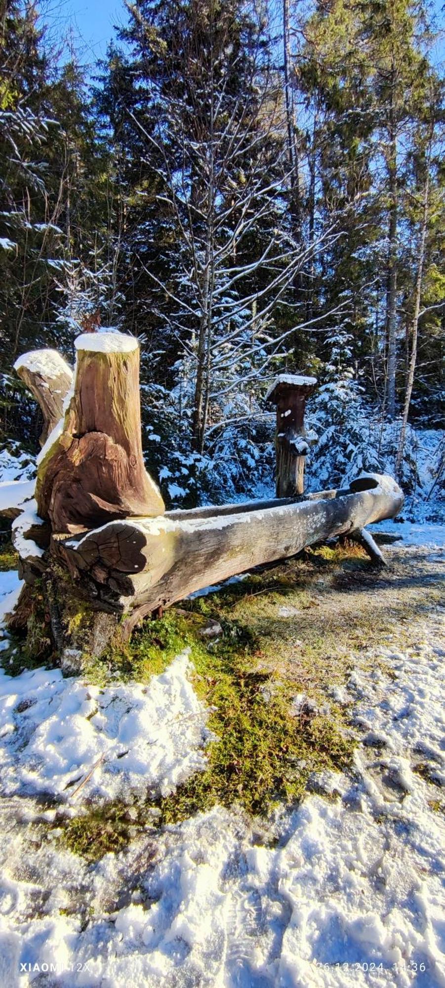 Schicke Ferien Wohnung Mit Tollem Ausblick In Schwarzwald. فيلينغن سشفايننغ المظهر الخارجي الصورة